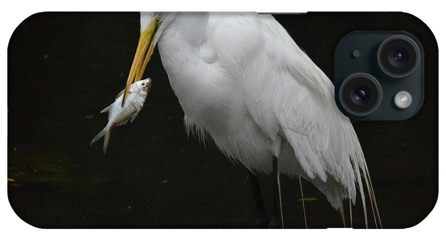Egret iPhone Case featuring the photograph Fish for Lunch by Jim Bennight