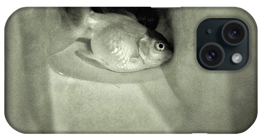Bw_lover iPhone Case featuring the photograph Fish Funeral
#fish #goldfish by Rafa Rivas