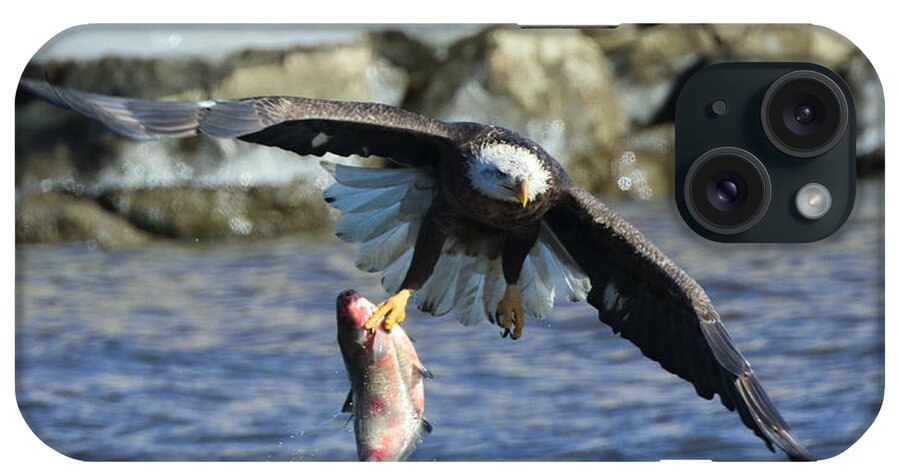 Bald Eagle iPhone Case featuring the photograph Fish in hand by Coby Cooper