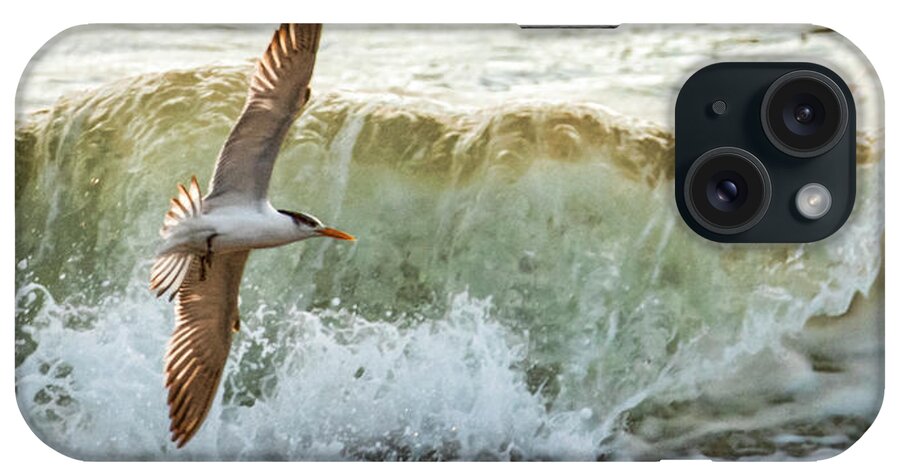 Seagull iPhone Case featuring the photograph Fishing the Surf by Don Durfee
