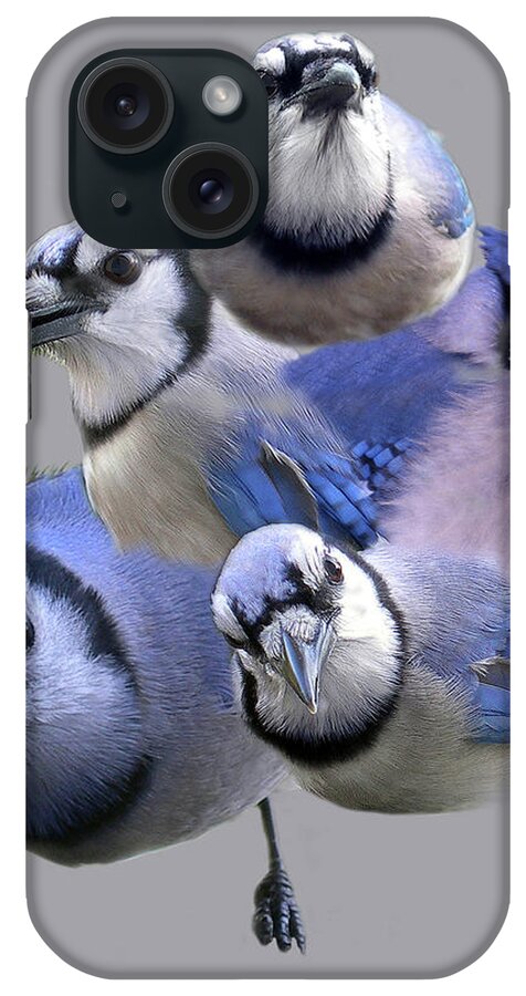 Names Of Birds iPhone Case featuring the photograph Five Of A Kind by Skip Willits