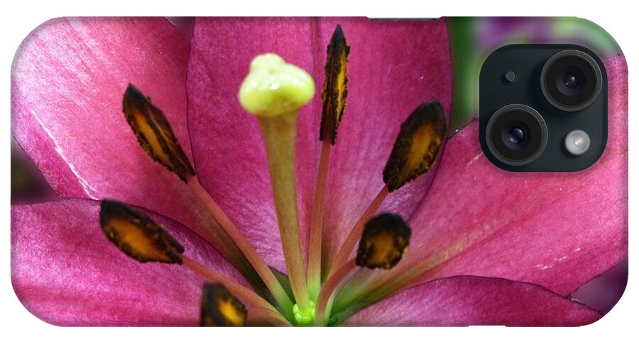 Flowers iPhone Case featuring the photograph Five Points by Carlos Avila