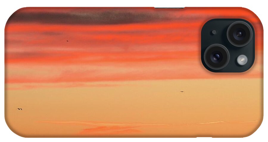 Abstract iPhone Case featuring the photograph Five Random Birds by Lyle Crump