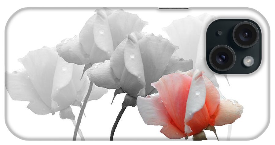 Roses iPhone Case featuring the photograph Five Roses by Rosalie Scanlon
