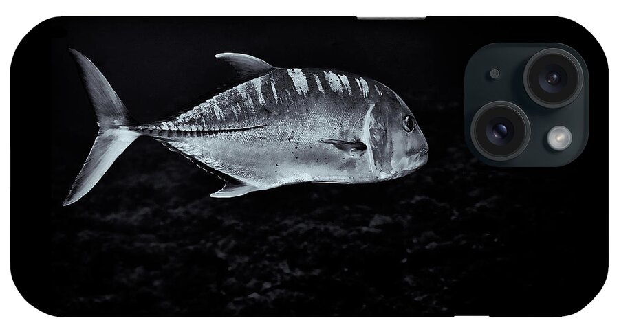 Marine Life iPhone Case featuring the photograph FLA-150811-ND800E-26063-bw-selenium by Fernando Lopez Arbarello
