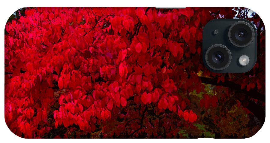 Susan Vineyard iPhone Case featuring the photograph Flames of Autumn by Susan Vineyard