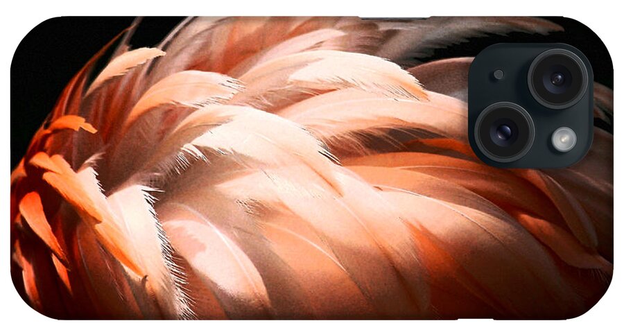 Feathers iPhone Case featuring the photograph Flamingo Feathers by Sabrina L Ryan