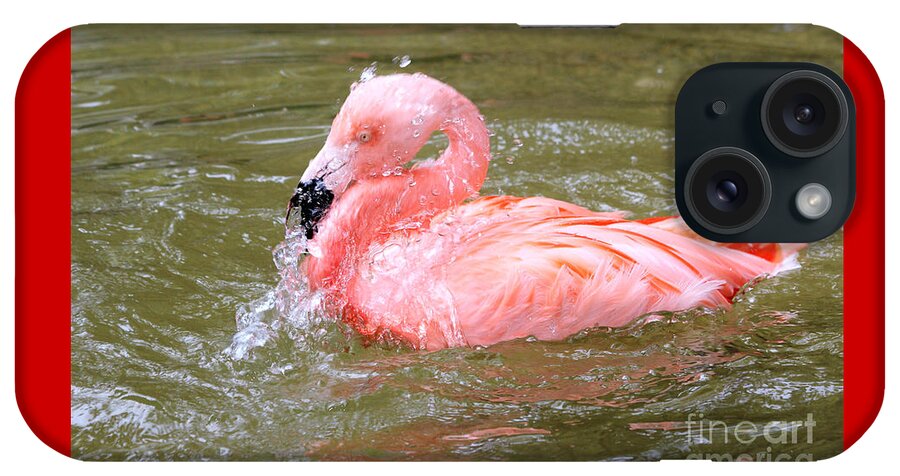 Flamingo iPhone Case featuring the photograph Flamingo Fun by Kathy White