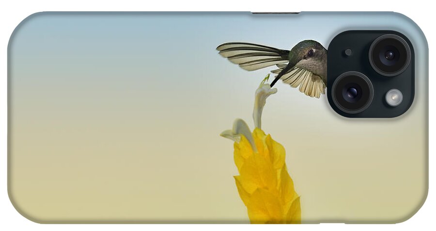 Audubon iPhone Case featuring the photograph Flashing Dip by Carol Eade