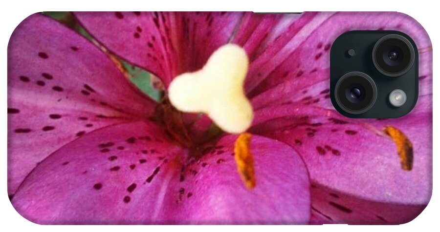 Lily iPhone Case featuring the photograph Flecked by Denise Railey
