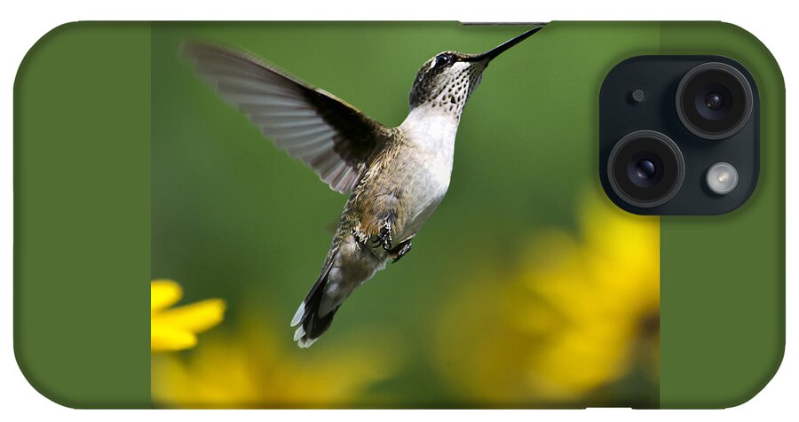 Birds iPhone Case featuring the photograph Flight of Fancy Hummingbird Square by Christina Rollo