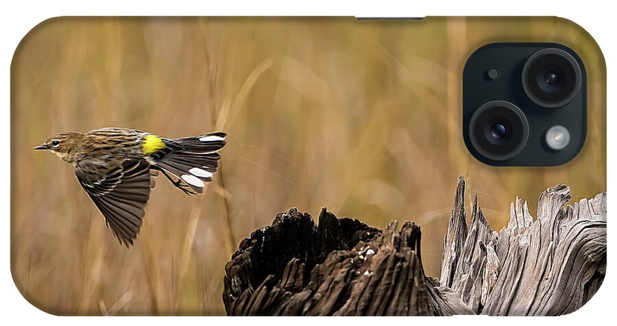Warbler iPhone Case featuring the photograph Flight Of The Driftwood Butterbutt by DB Hayes