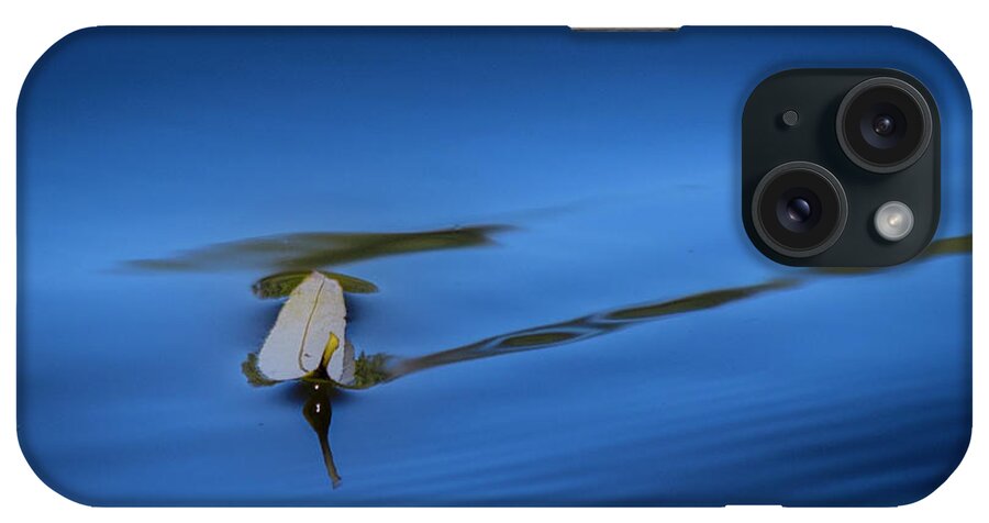Fall iPhone Case featuring the photograph Floating by Allin Sorenson