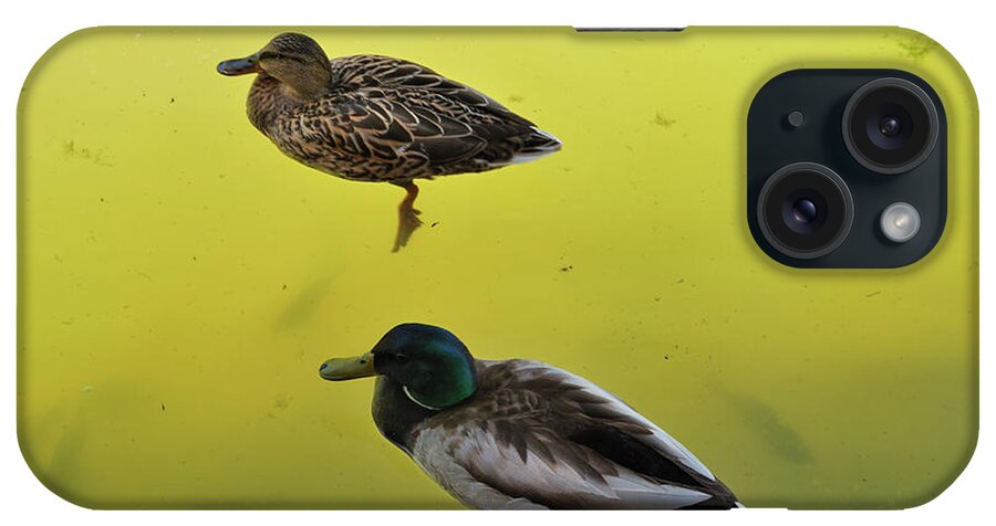 Nature iPhone Case featuring the photograph Floating Around by Ron Cline