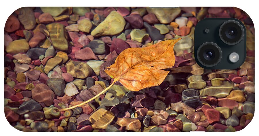 Glacier National Park iPhone Case featuring the photograph Floating Leaf by Teresa Wilson