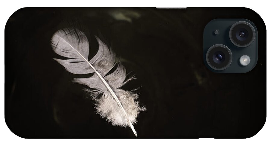 Background iPhone Case featuring the photograph Floating Pigeon Feather on Water by John Williams
