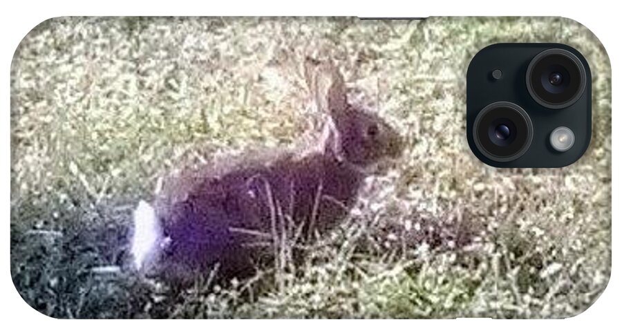 Rabbit. Bunny .wildlife Sanctuary iPhone Case featuring the photograph Floppy Our Local Bunny by Suzanne Berthier