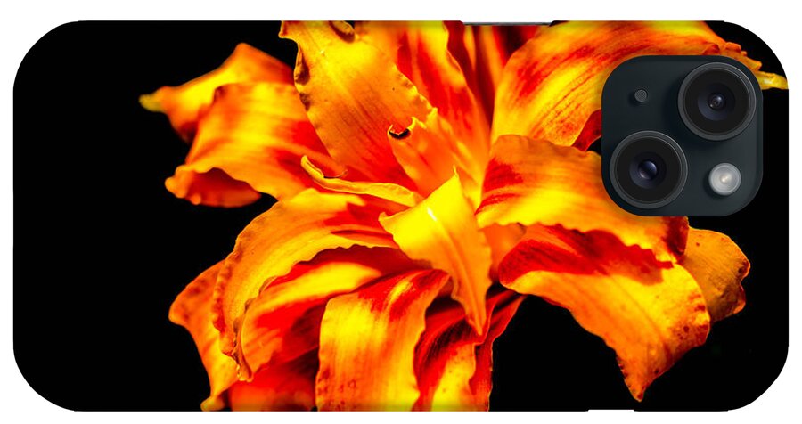 Flower iPhone Case featuring the photograph Flora Dance by Bruce Pritchett
