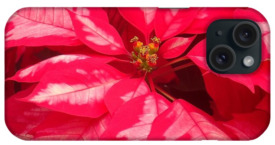 Flowers iPhone Case featuring the photograph Floral greetings by Christina Verdgeline