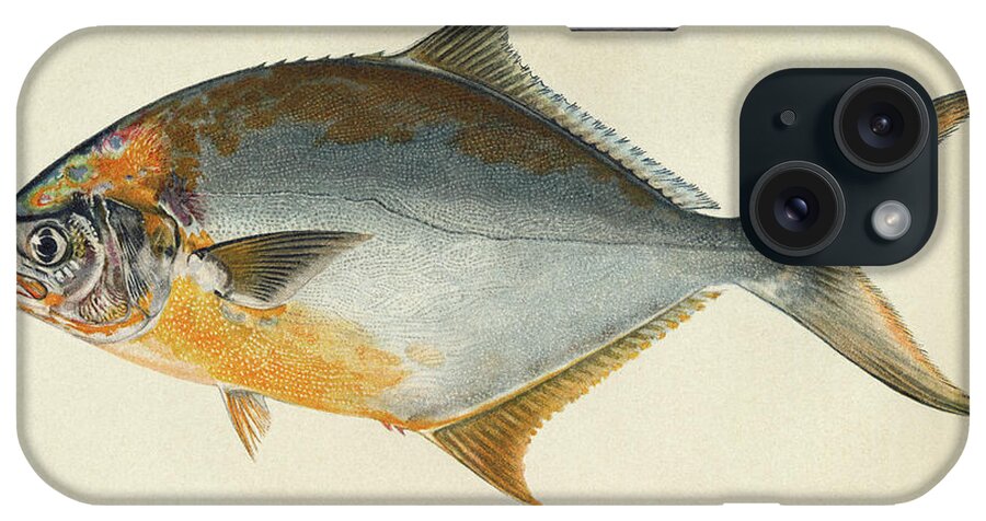 1903 iPhone Case featuring the photograph Florida Pompano by Granger