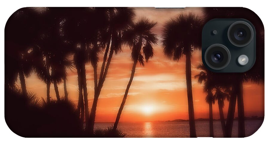 Florida iPhone Case featuring the photograph Florida- Sunset Memories by Janie Johnson