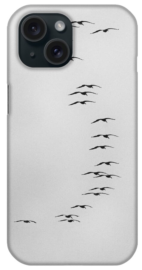 Air iPhone Case featuring the photograph Flow of the Pelican by Michael Hope