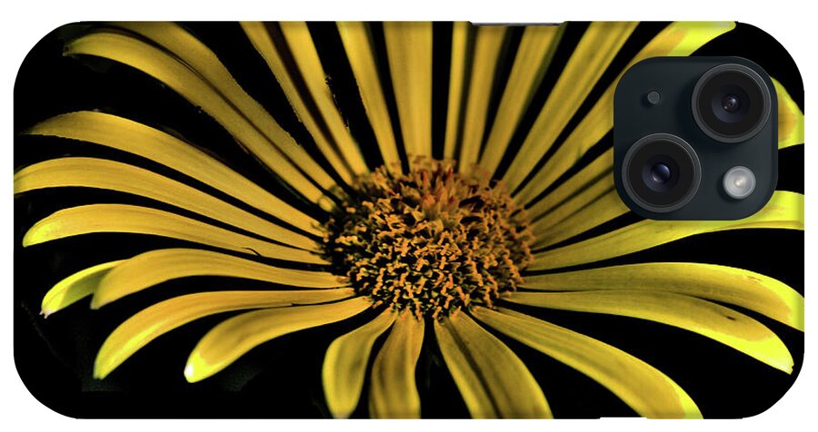 Flower iPhone Case featuring the photograph Flower 1 by Lawrence Christopher