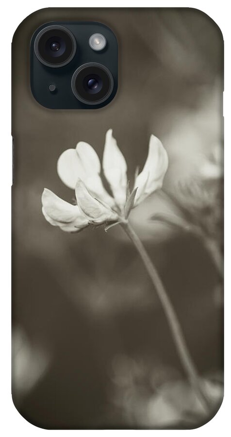 Nature iPhone Case featuring the photograph Flower 3 by Mati Krimerman