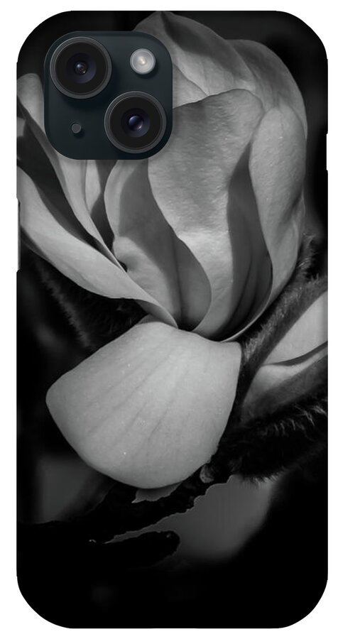 Flower iPhone Case featuring the photograph Flower Noir by Allin Sorenson