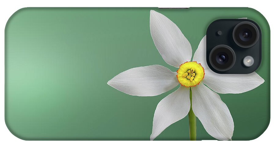 Clock iPhone Case featuring the photograph Flower paradise by Bess Hamiti