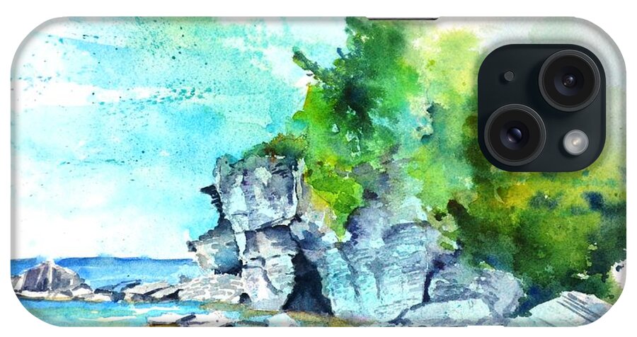 Nature iPhone Case featuring the painting Flower Pot Island by Betty M M Wong