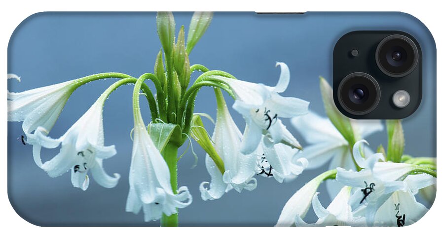 Flower iPhone Case featuring the photograph Flower Wind Chimes by Dale Powell