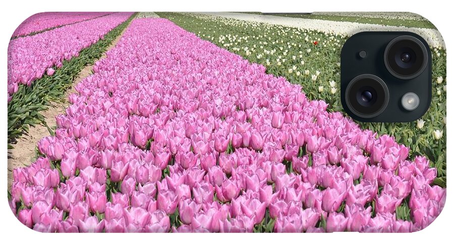 Flowerfields iPhone Case featuring the photograph Flowerfield, pink tulips by Eduard Meinema