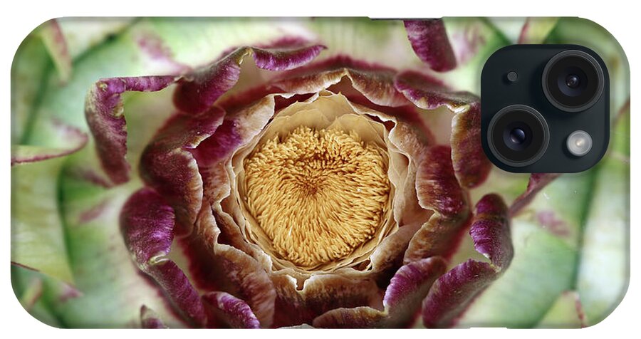 Bloom iPhone Case featuring the photograph Flowering houseleek by Michal Boubin