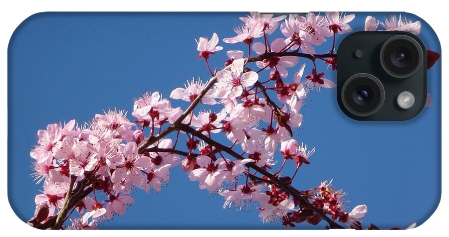 Bloom iPhone Case featuring the photograph Flowering of the Plum Tree 4 by Jean Bernard Roussilhe