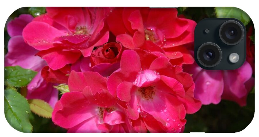 Rose iPhone Case featuring the photograph Flowers 732 by Joyce StJames