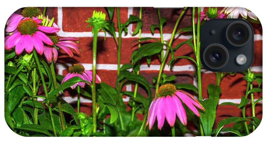 Flowers iPhone Case featuring the photograph Flowers Along a Red Brick Wall by Bill Cannon