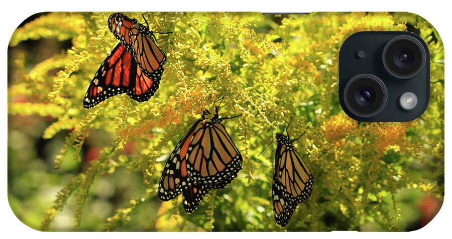 Goldenrod Flowers Photo iPhone Case featuring the photograph Flowers and Butterfies in Red Vase Photo by Luana K Perez