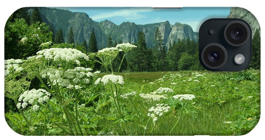 California iPhone Case featuring the photograph Flowers in the Valley by Cheryl Wallace