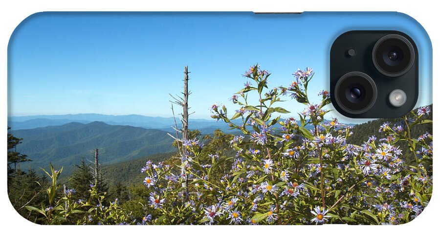 Smoky iPhone Case featuring the photograph Flowers of the Smokey Mountains by Karen Foley