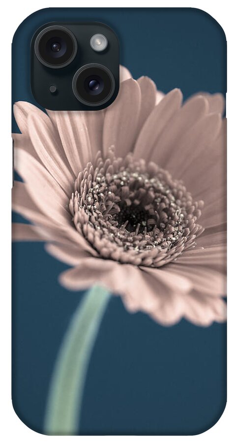 Flower iPhone Case featuring the photograph Flowers by John Paul Cullen