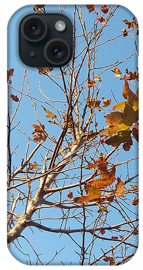 Autumn iPhone Case featuring the photograph Fly Away by HweeYen Ong