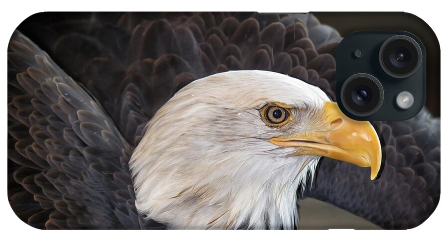 Bald Eagle iPhone Case featuring the photograph Fly Like An Eagle by Bill and Linda Tiepelman