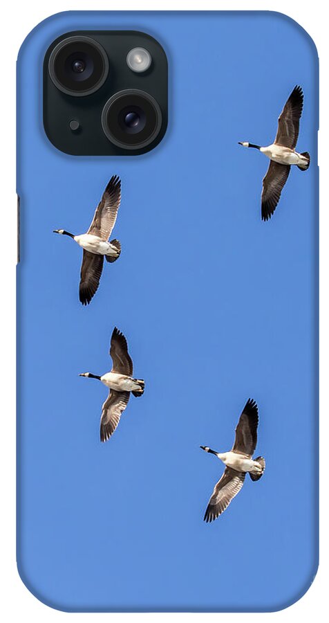 Bird iPhone Case featuring the photograph Fly Over by Phil Spitze