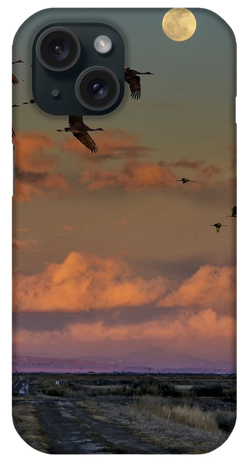 Cranes iPhone Case featuring the photograph Flying By Moonlight by David Soldano