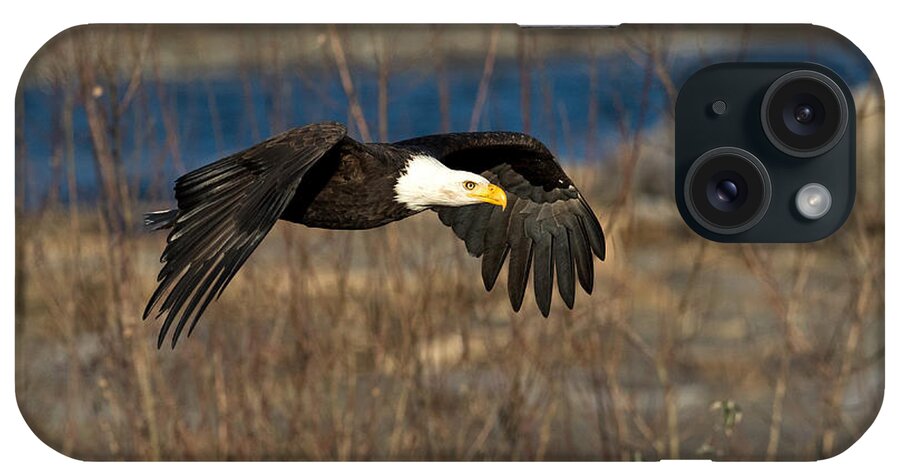 Eagle iPhone Case featuring the photograph Flying By by Shari Sommerfeld