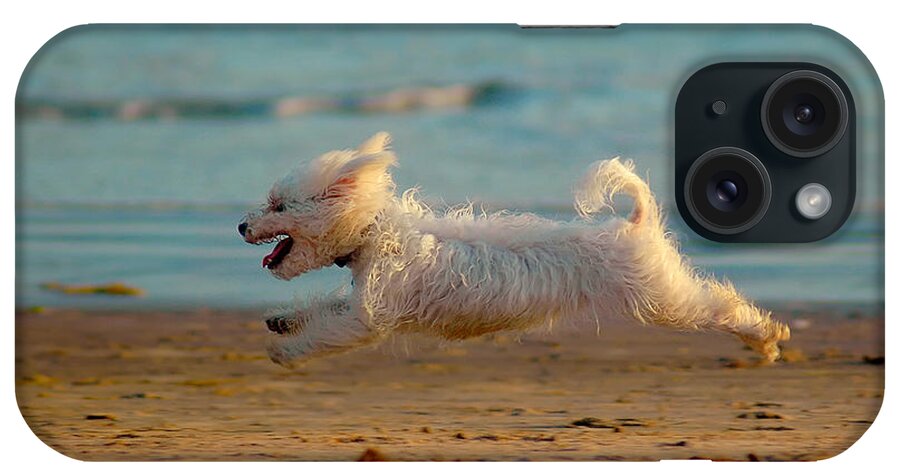 Dog iPhone Case featuring the photograph Flying Dog by Harry Spitz