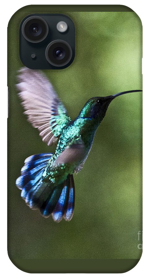 Bird iPhone Case featuring the photograph Flying Emerald by Heiko Koehrer-Wagner
