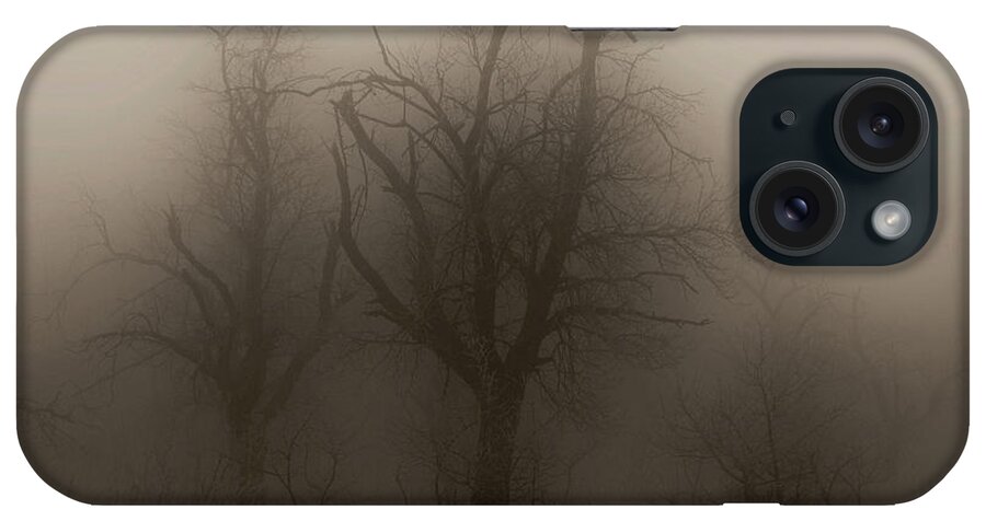 Fog iPhone Case featuring the photograph Fog 008 by Mimulux Patricia No