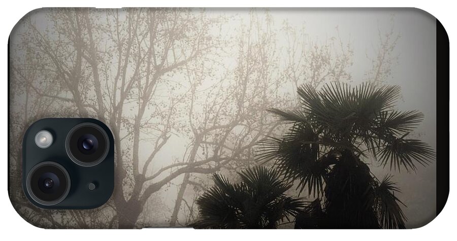 Fog iPhone Case featuring the photograph Foggy Bottoms by John Glass